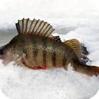 Рыбалка зимой на Урале